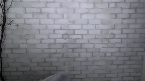 Snapshot of veryveryshygirl chatting on December 2024 01:36:02 PM Ana online show from December 2024 01:36:02 PM