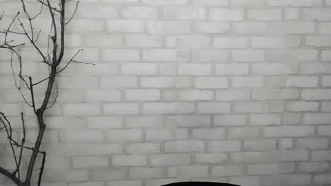 Snapshot of veryveryshygirl chatting on January 2025 05:33:02 PM Ana online show from January 2025 05:33:02 PM