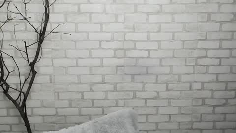 Snapshot of veryveryshygirl chatting on January 2025 12:43:01 PM Ana online show from January 2025 12:43:01 PM