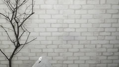 Snapshot of veryveryshygirl chatting on February 2025 02:34:02 PM Ana online show from February 2025 02:34:02 PM