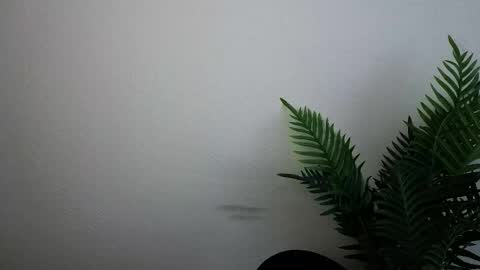 Snapshot of veryveryshygirl chatting on September 2025 12:10:02 PM Ana online show from September 2025 12:10:02 PM