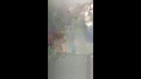 vhornynige69 online show from February 2026 12:31:01 PM