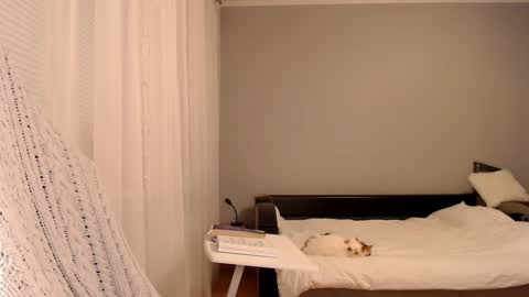 Snapshot of vibezgirl chatting on February 2025 05:09:01 PM Amelia online show from February 2025 05:09:01 PM