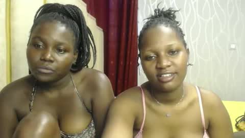 Vibrant online show from November 2025 03:49:02 AM