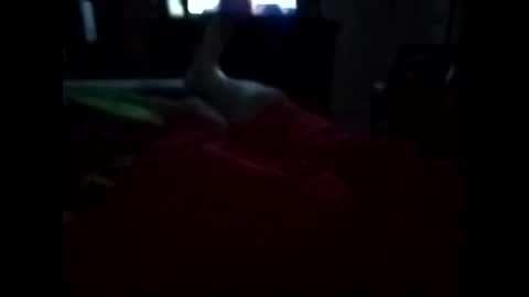 viciouzz1 online show from November 2025 11:27:02 PM