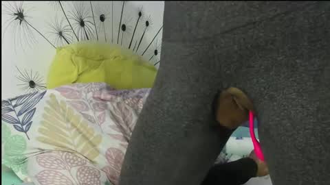 Vicky online show from February 2025 02:43:02 PM