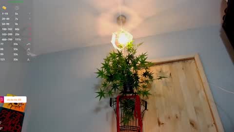 Victoria   online show from December 2024 07:01:02 PM