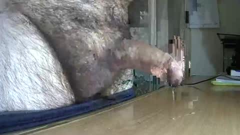 VictorHume online show from March 2025 11:42:02 PM