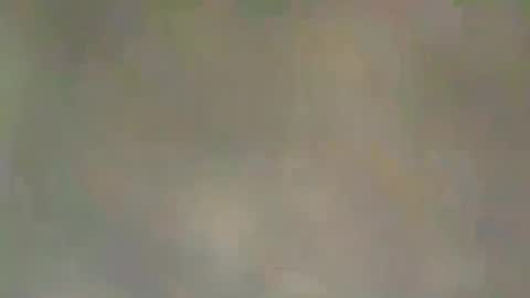 Snapshot of viennaguy79 chatting on March 2026 07:47:02 AM viennaguy79 online show from March 2026 07:47:02 AM