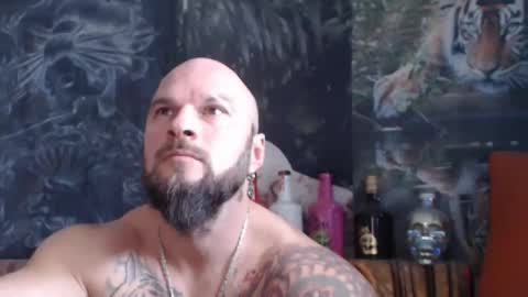 viking online show from November 2025 08:14:01 AM