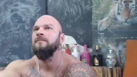 viking online show from November 2025 07:36:02 AM