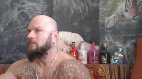 viking online show from December 2025 08:32:02 AM