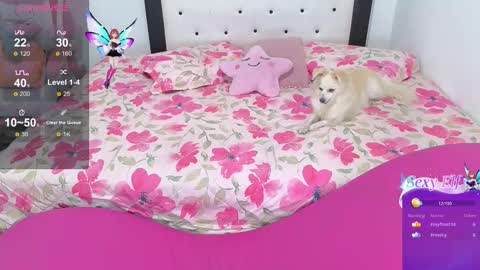 Violeta online show from February 2026 06:40:02 AM