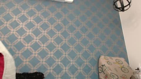 Violeta  online show from December 2024 01:18:01 AM