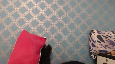 Violeta  online show from January 2025 10:15:01 PM