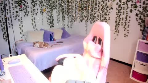 Violeta online show from October 2025 04:50:01 PM