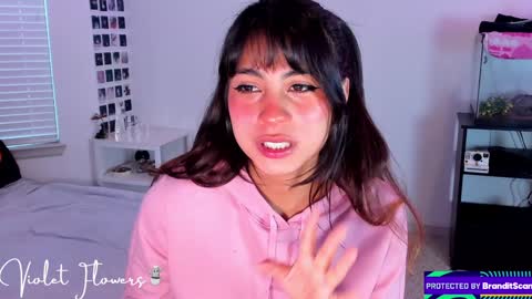 Violet Flowers online show from December 2024 03:04:01 PM