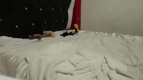 melissa online show from October 2025 05:04:02 AM