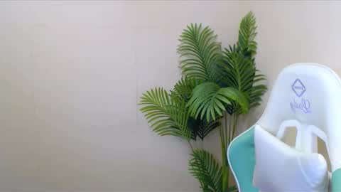 Snapshot of vivien_leight chatting on December 2024 06:36:01 AM Vivien online show from December 2024 06:36:01 AM