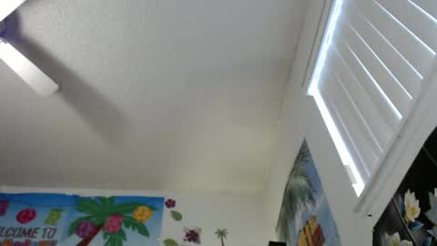 Vixen Fyre online show from December 2024 10:45:02 PM