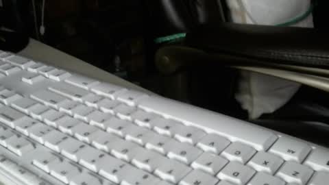 vnpg92 online show from December 2025 08:14:02 PM