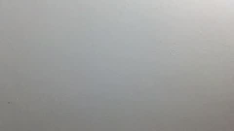 volentic online show from October 2025 12:14:01 PM