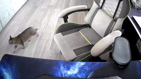 Vonn online show from October 2025 06:47:01 AM