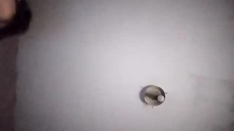 vujadetr online show from September 2025 07:42:01 AM