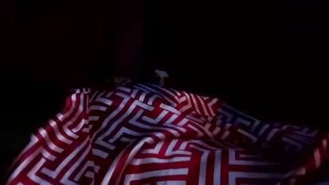 vujadetr online show from November 2025 07:39:01 AM