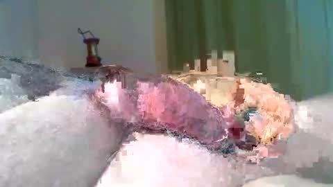 vukavuka99 online show from March 2026 09:29:02 PM