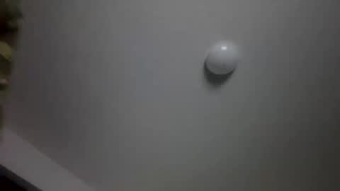 w1llfull_disobediance online show from September 2025 09:00:01 AM