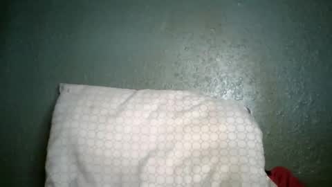 Champion Lover online show from January 2026 05:26:01 PM