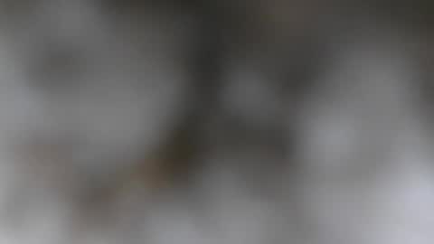 wantmymantofukme online show from October 2025 06:19:02 PM