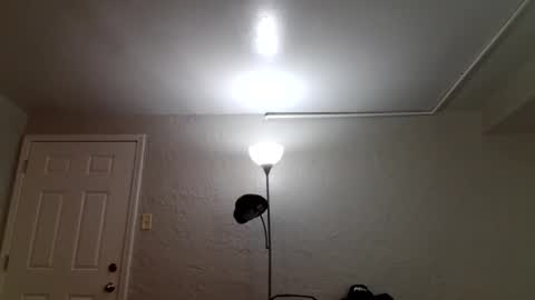 wantstoperform online show from December 2025 03:19:02 PM