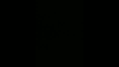 warp147 online show from April 2026 02:49:01 AM