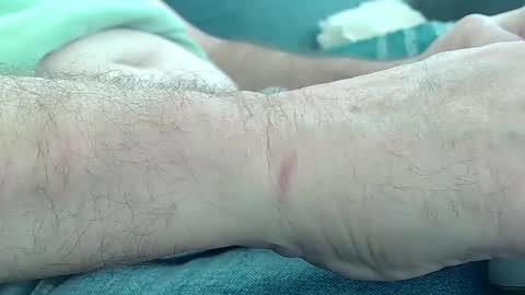 glenlooker online show from March 2025 11:20:02 PM