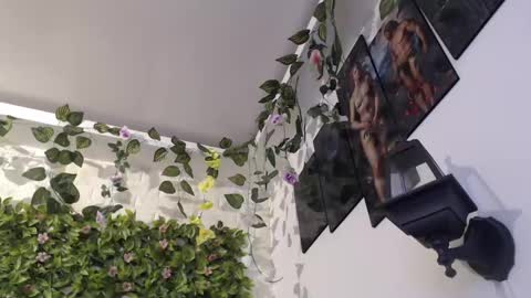 Trixie 3 online show from January 2025 07:43:01 PM