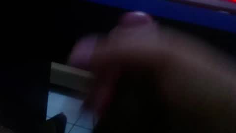 wellingtont online show from January 2026 11:41:02 PM