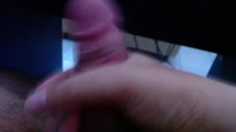 wellingtont online show from March 2026 02:17:02 AM