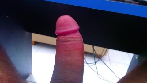 wellingtont online show from May 2026 08:42:02 AM