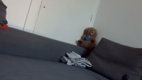 wet_pants2022 online show from September 2025 07:10:02 AM