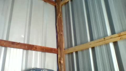 Snapshot of wharda chatting on June 2026 05:16:02 AM wharda online show from June 2026 05:16:02 AM
