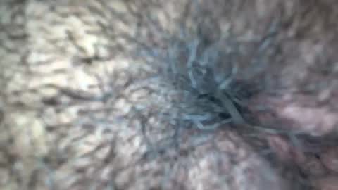 white_sexy_ online show from September 2025 11:34:02 AM