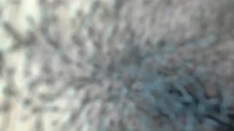 white_sexy_ online show from January 2026 11:30:02 PM