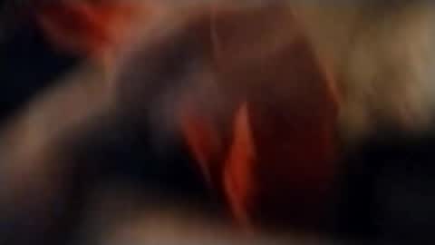 ur1freakman online show from November 2025 10:51:02 AM