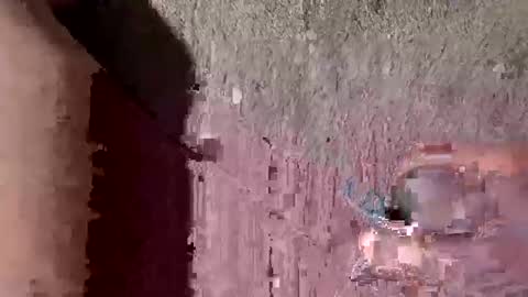 whitelava_4u online show from September 2025 10:30:01 AM