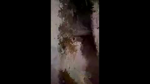 whitelava_4u online show from December 2025 03:01:01 AM