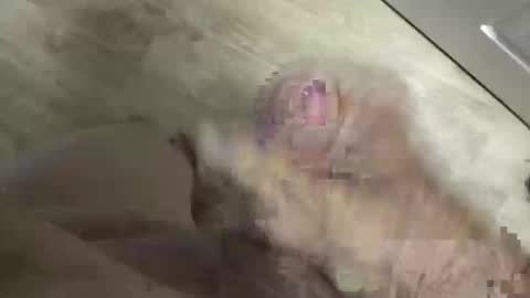 Snapshot of whitelava_4u chatting on May 2026 03:53:02 PM whitelava_4u online show from May 2026 03:53:02 PM