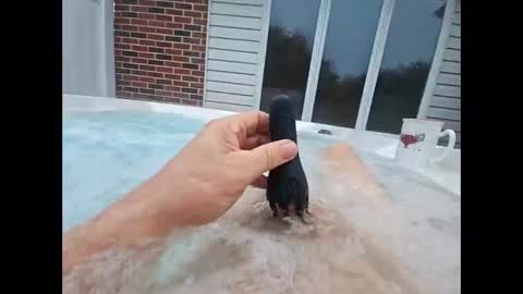 whiteoak19522 online show from April 2026 10:41:01 AM