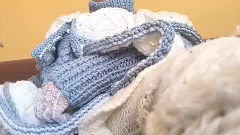 whitesweater online show from March 2026 06:50:02 AM